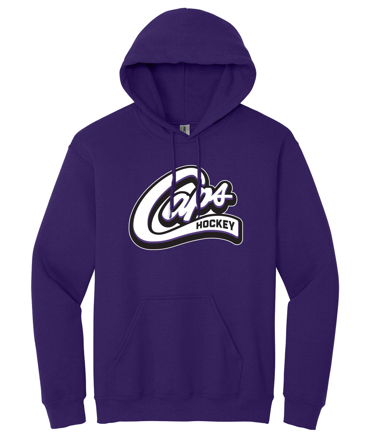 Des Moines Capitals Hooded Sweatshirt