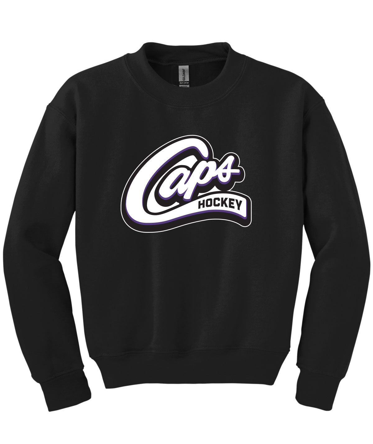 Des Moines Capitals Youth Crewneck Sweatshirt