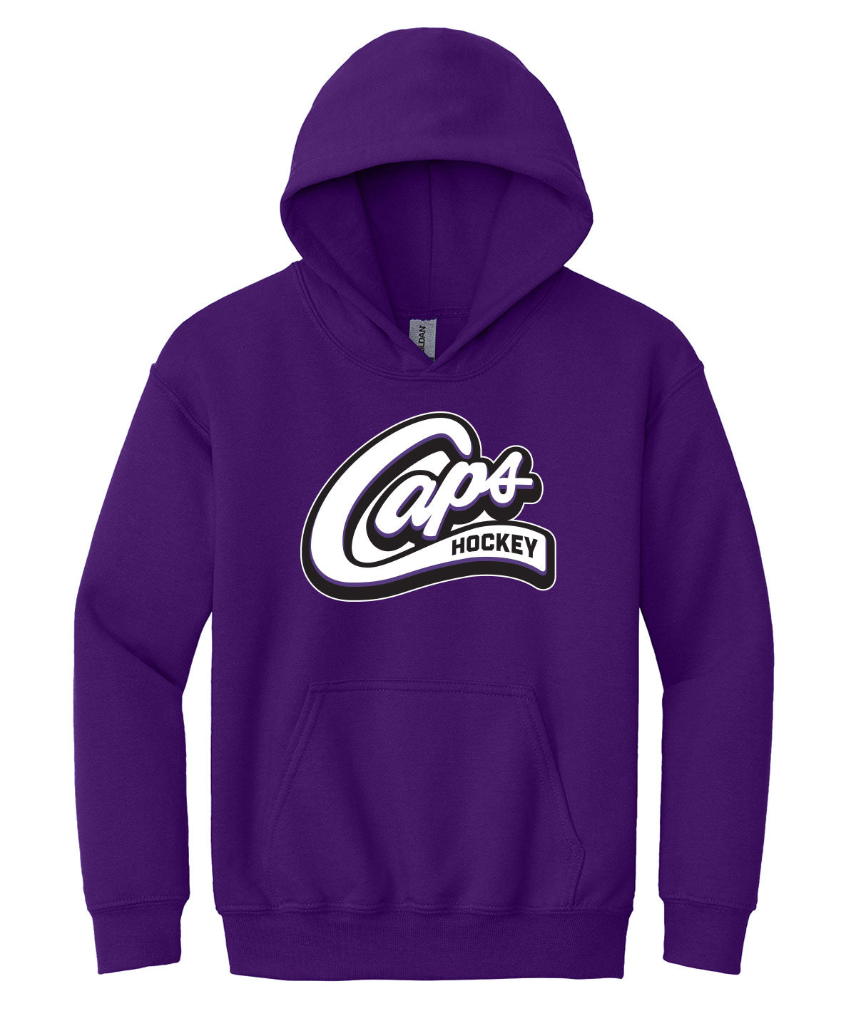 Des Moines Capitals Youth Hooded Sweatshirt