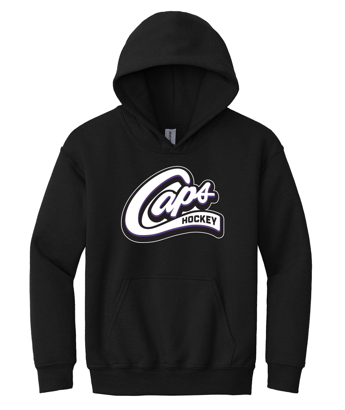 Des Moines Capitals Youth Hooded Sweatshirt