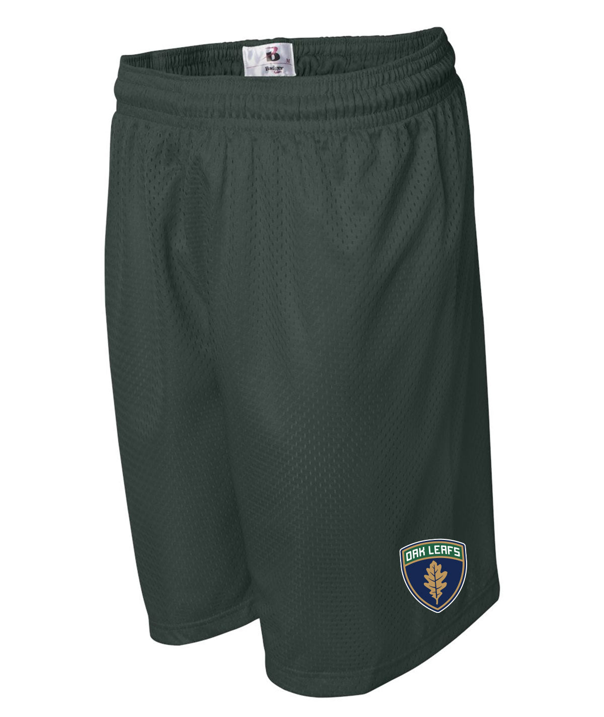 Des Moines Oak Leafs Men's Mesh Shorts