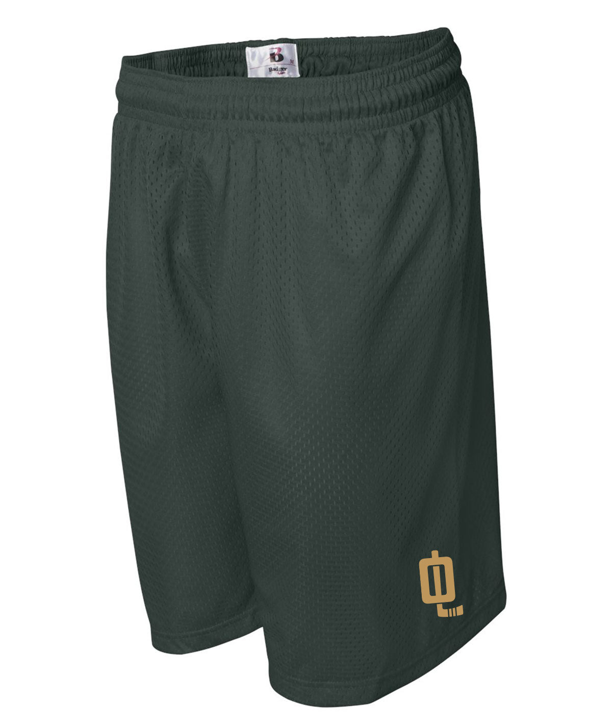 Des Moines Oak Leafs Men's Mesh Shorts