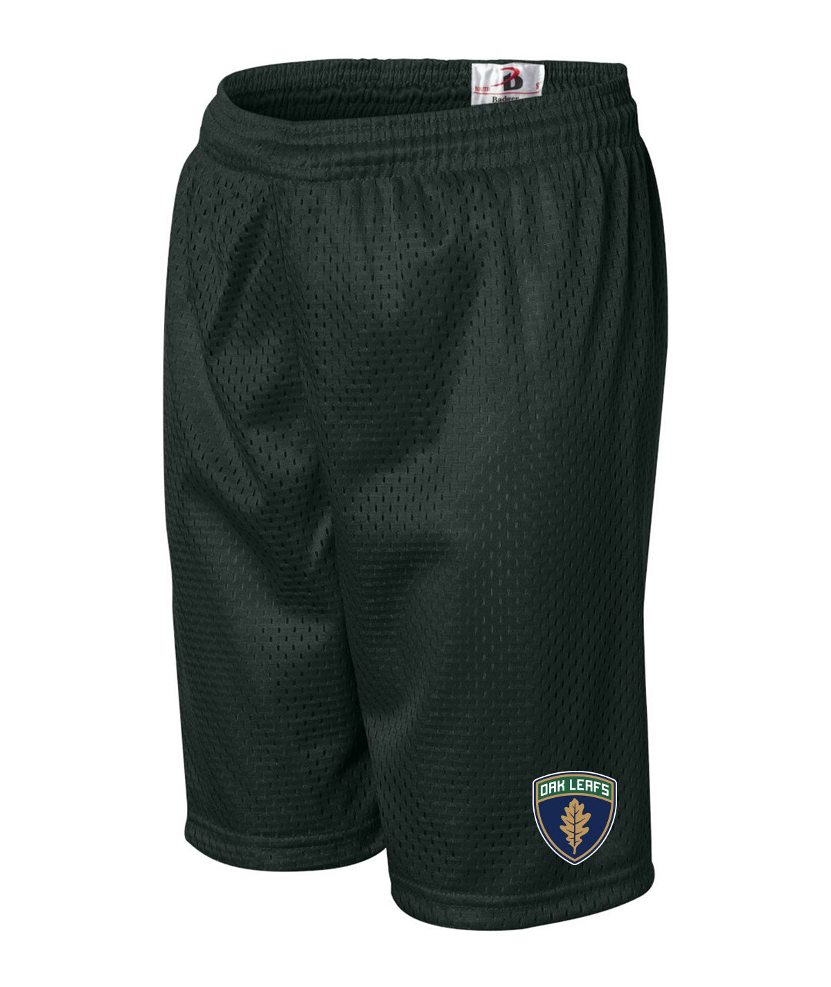 Des Moines Oak Leafs Youth Mesh Shorts